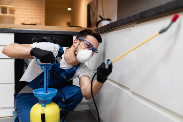 Best Residential Pest Control  in Harker Heights, TX