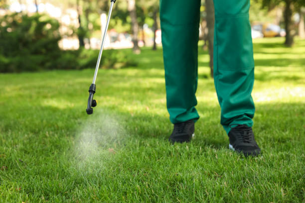 Best Exterminator Services  in Harker Heights, TX